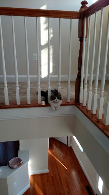 IMG_20150911_080447527