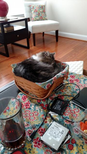 IMG_20151025_095610444